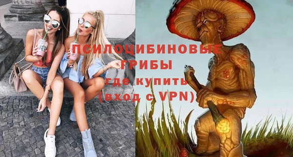 ГАЛЛЮЦИНОГЕННЫЕ ГРИБЫ Алексин