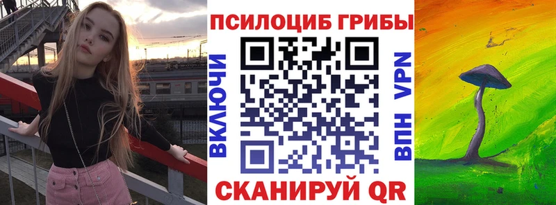 Галлюциногенные грибы Psilocybe  Миллерово 
