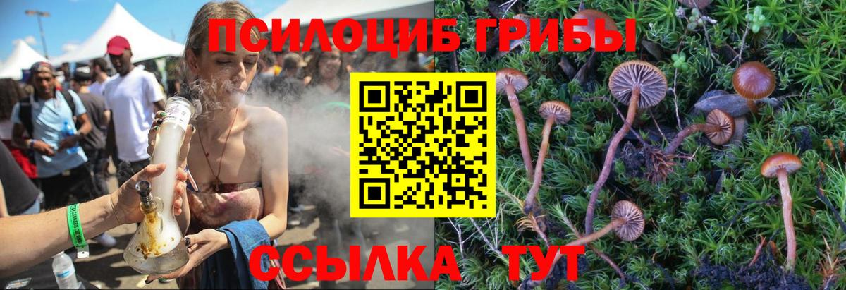 Миллерово  Галлюциногенные грибы мицелий  Псилоцибиновые грибы Magic Shrooms  Вход с VPN 